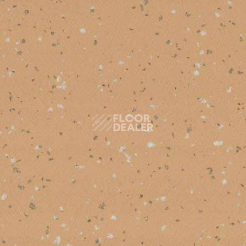 Линолеум Gerflor Taralay Premium Indiana 8262 Rodrigues фото 1 | FLOORDEALER